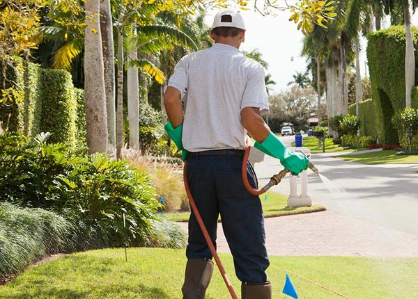 About Carbondale KS Pest Control